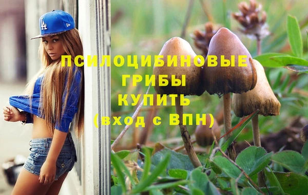 герыч Алексин