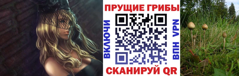 Псилоцибиновые грибы MAGIC MUSHROOMS  гидра зеркало  Боготол 